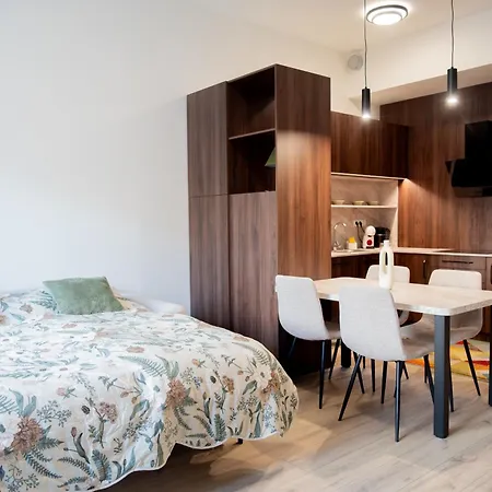 Naiti Deluxe Cassovar With Aircon And Terrace * Kassa